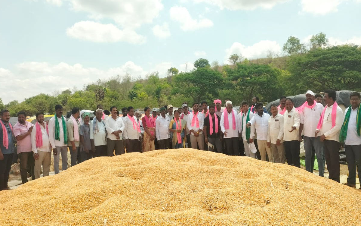 'తడిసిన మొక్కజొన్నను షరతులు లేకుండా కొనుగోలు చేయాలి'