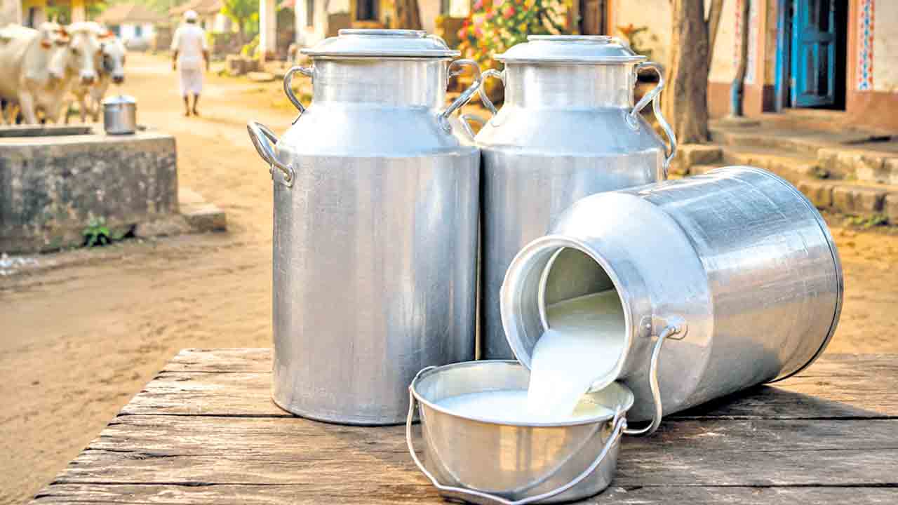 కమ్మని పాలు.. కరుణించిన దైవం!