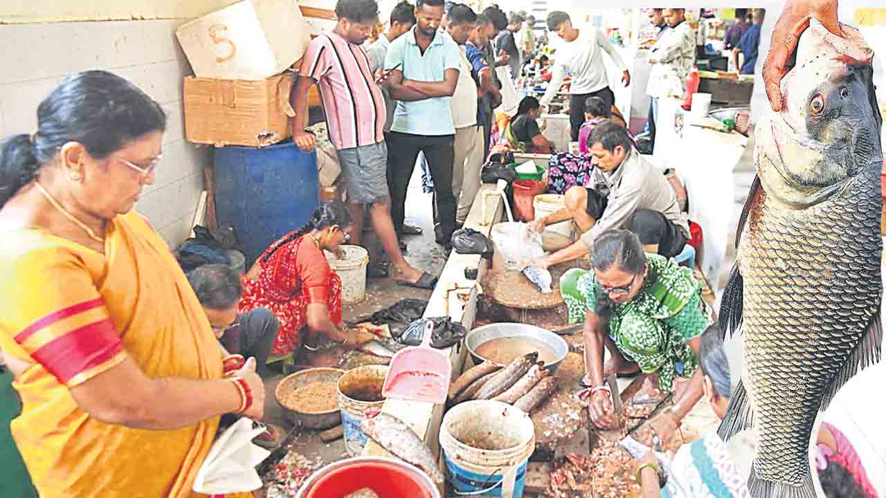 మృగశిర మురిపెం