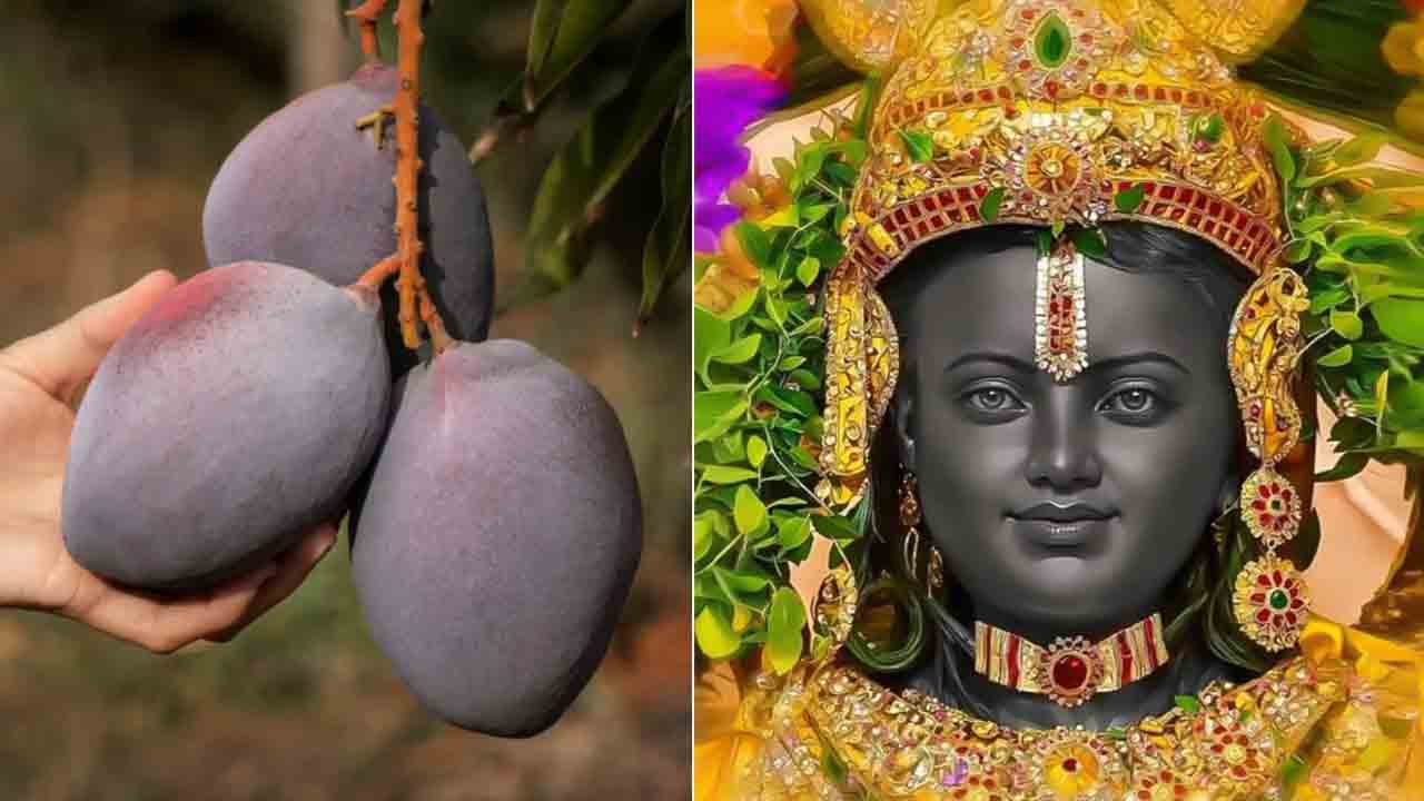 అయోధ్య రాముడికి నైవేద్యంగా ఖరీదైన మామిడి