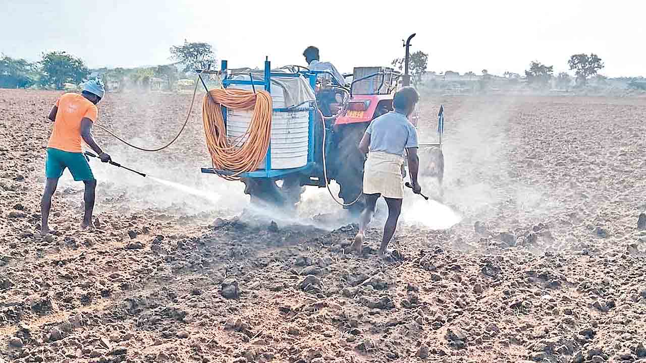 ముఖం చాటేసిన వరుణుడు.. ఆందోళనలో రైతులు