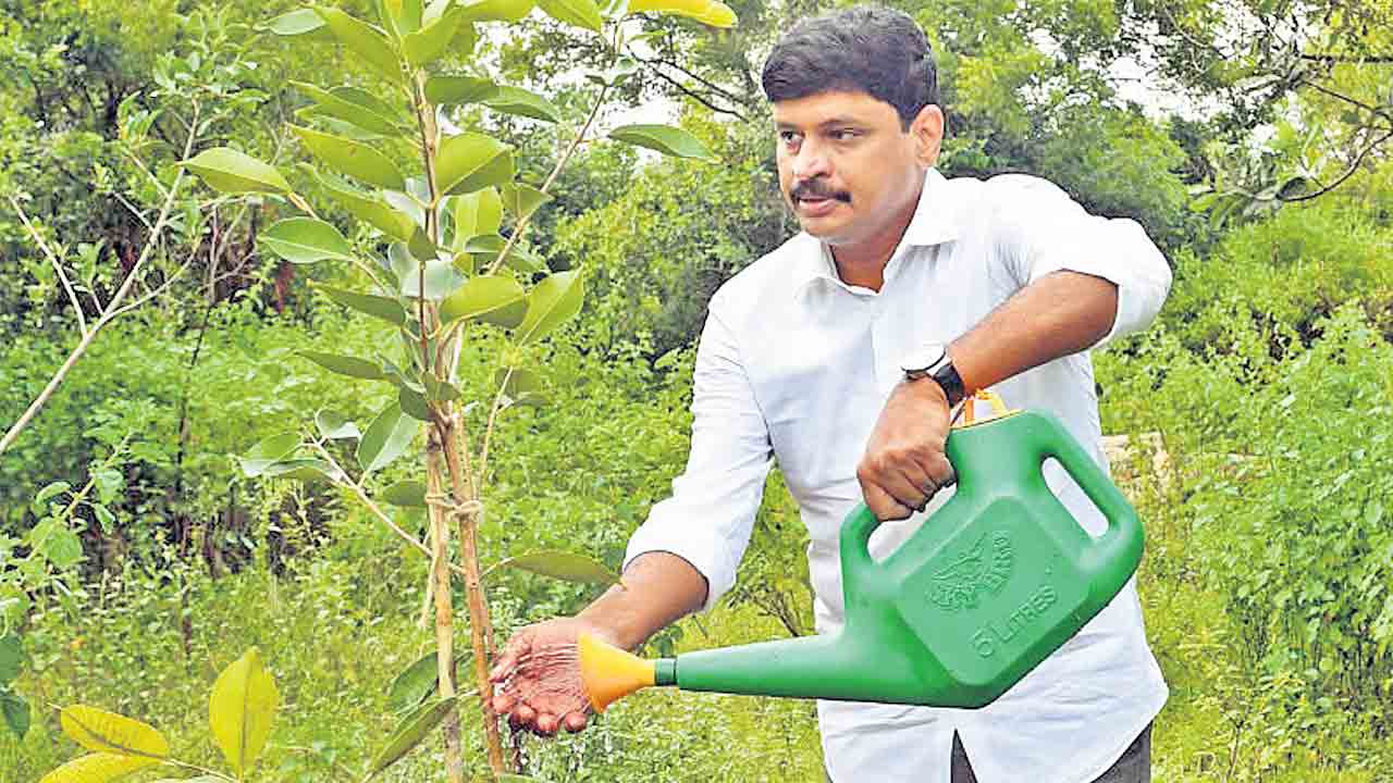 తెలంగాణ క్రికెట్‌లో హరిత విప్లవం.. ప్రతి డాట్‌బాల్‌, ఫోర్‌, సిక్సర్‌కు మొకలు నాటేలా ప్రతిపాదనలు