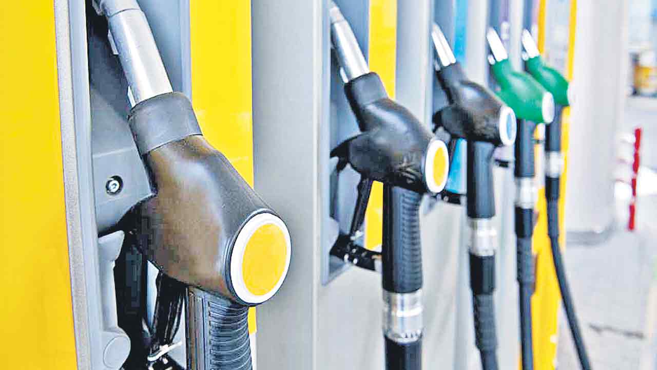 భారత్‌లోనే ఇంధన భారం అధికం!
