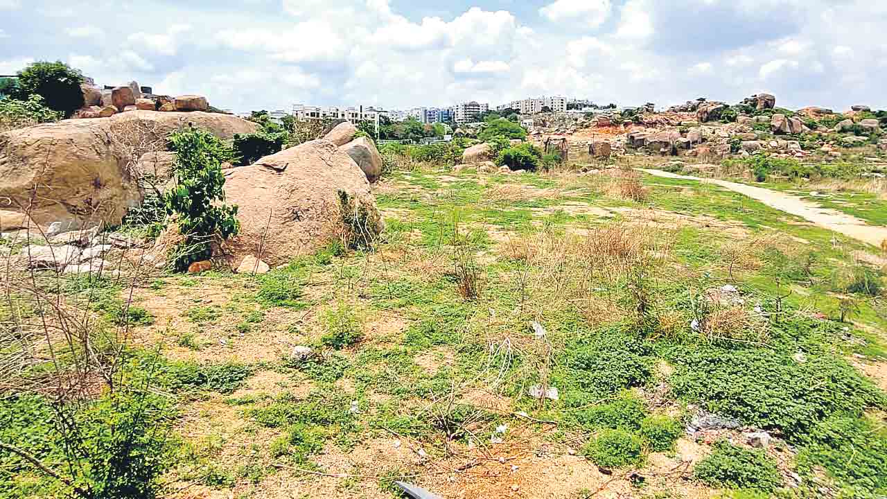 భారీ భూస్కామ్‌కు స్కెచ్‌!
