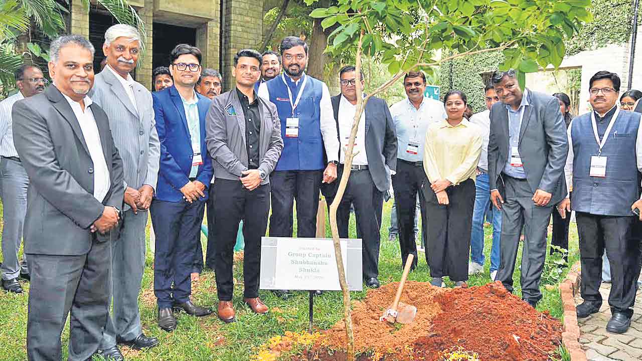 మొక్కలున్న భూమే స్వర్గం!