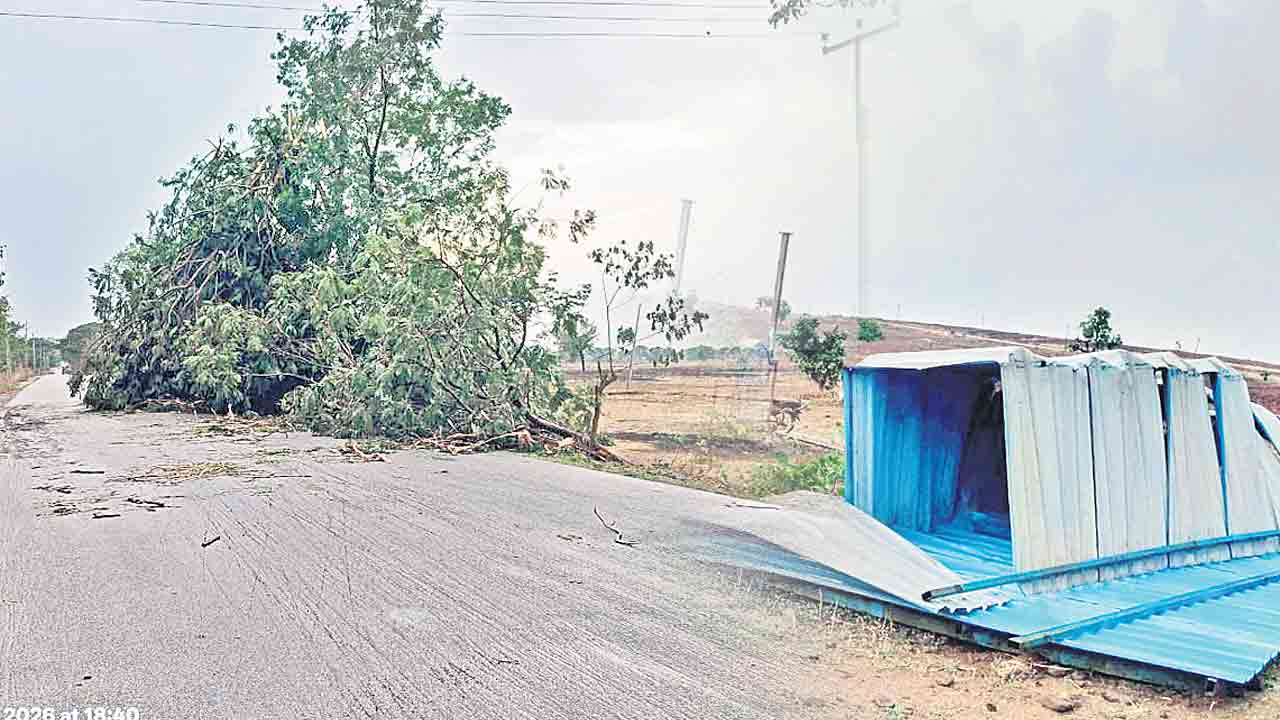 గాలీవాన బీభత్సం