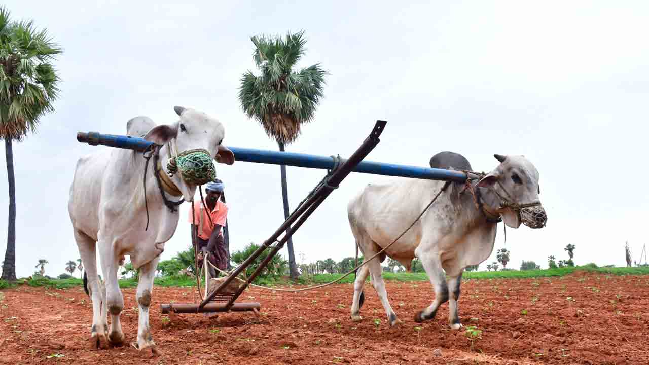 కోటి ఆశలతో వానకాలం సాగు