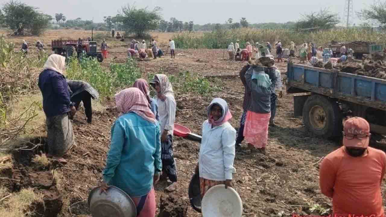 మండుటెండలో ఉపాధి