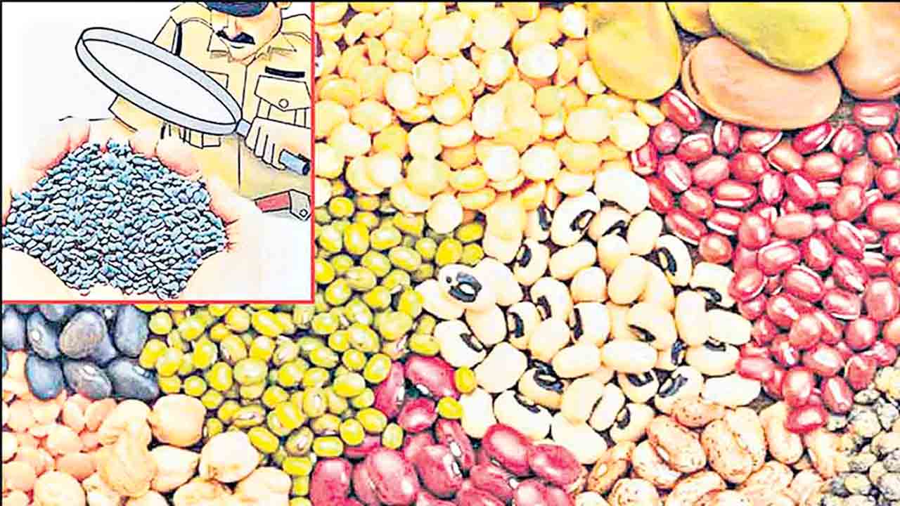 సబ్సిడీ విత్తనాల స్వాహాపై చర్యలేవి?