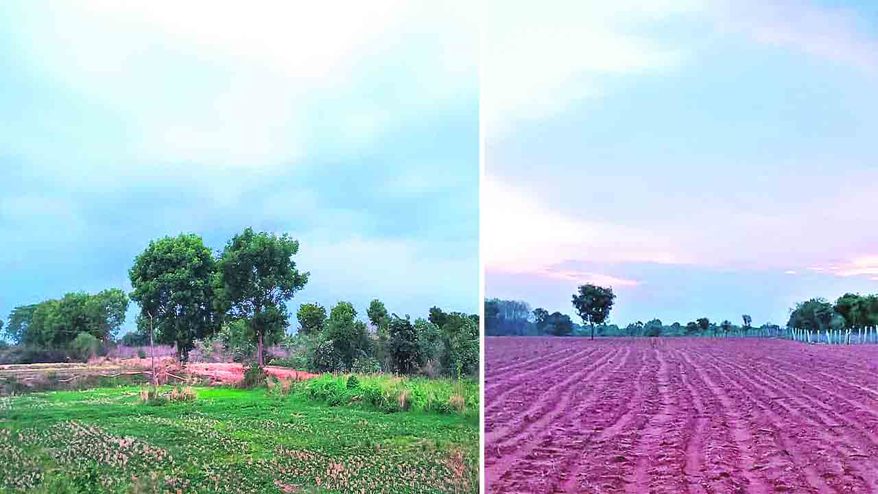 జూన్‌ ముగిసినా జాడలేని వానలు