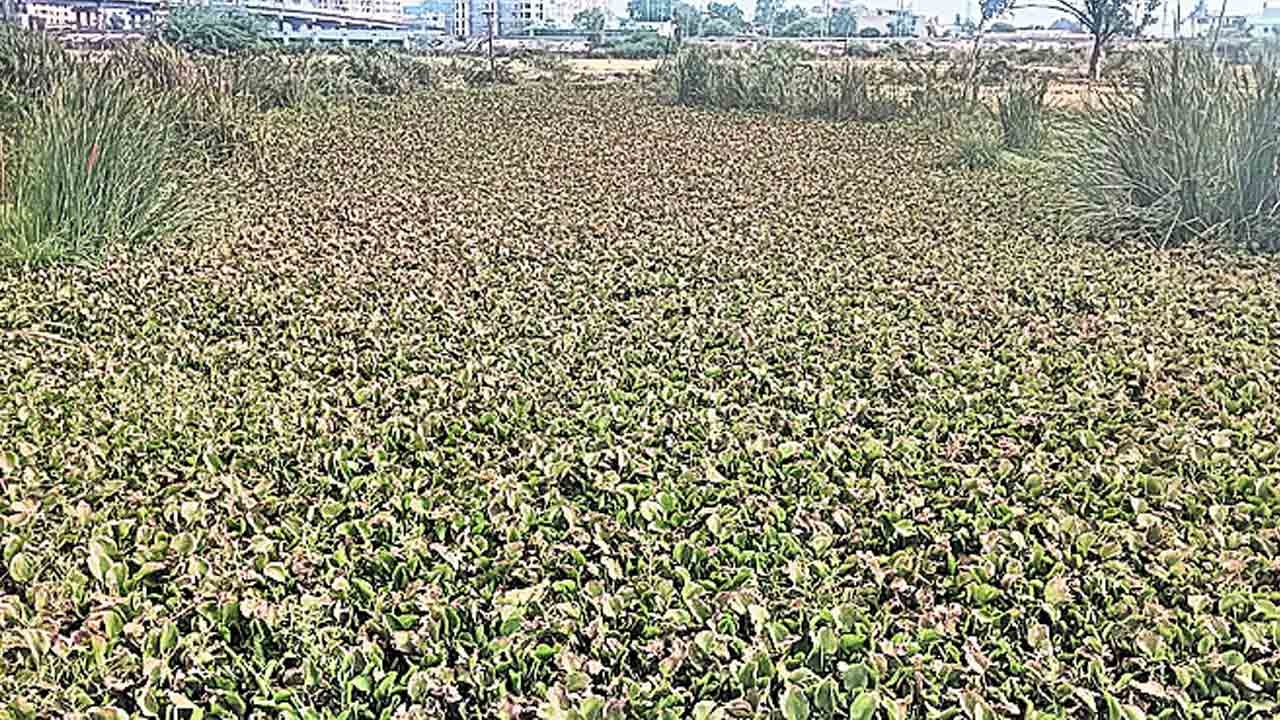 ఈసారీ మునుగుడేనా ?