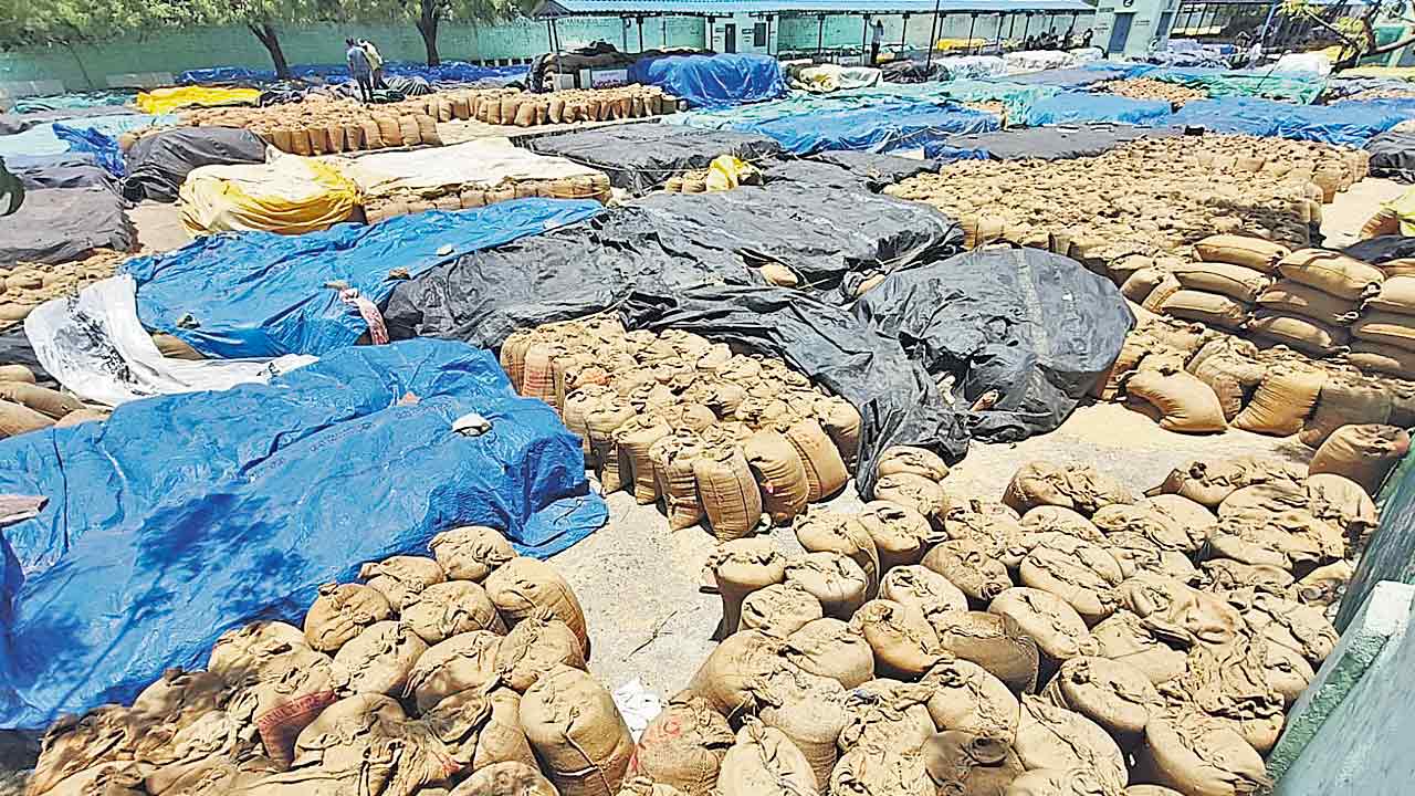 జొన్న రైతుల కంట కన్నీరు