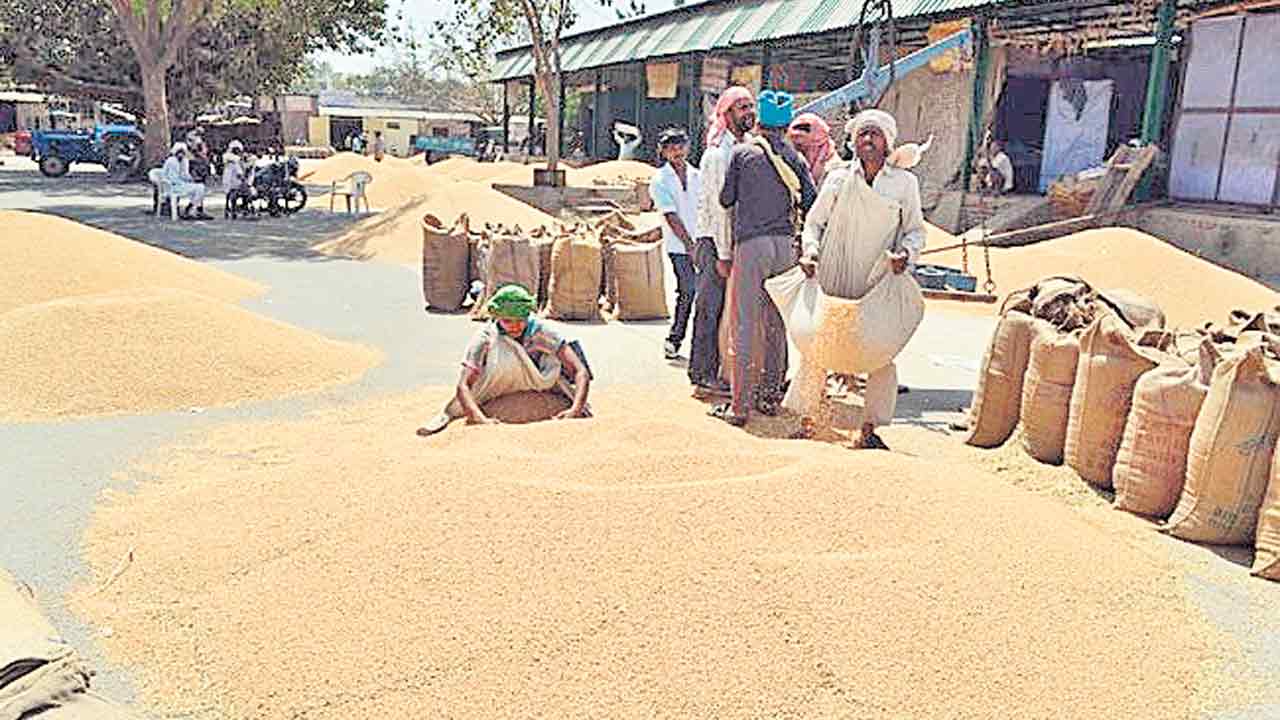 తరుగు మేత 1000 కోట్లు!