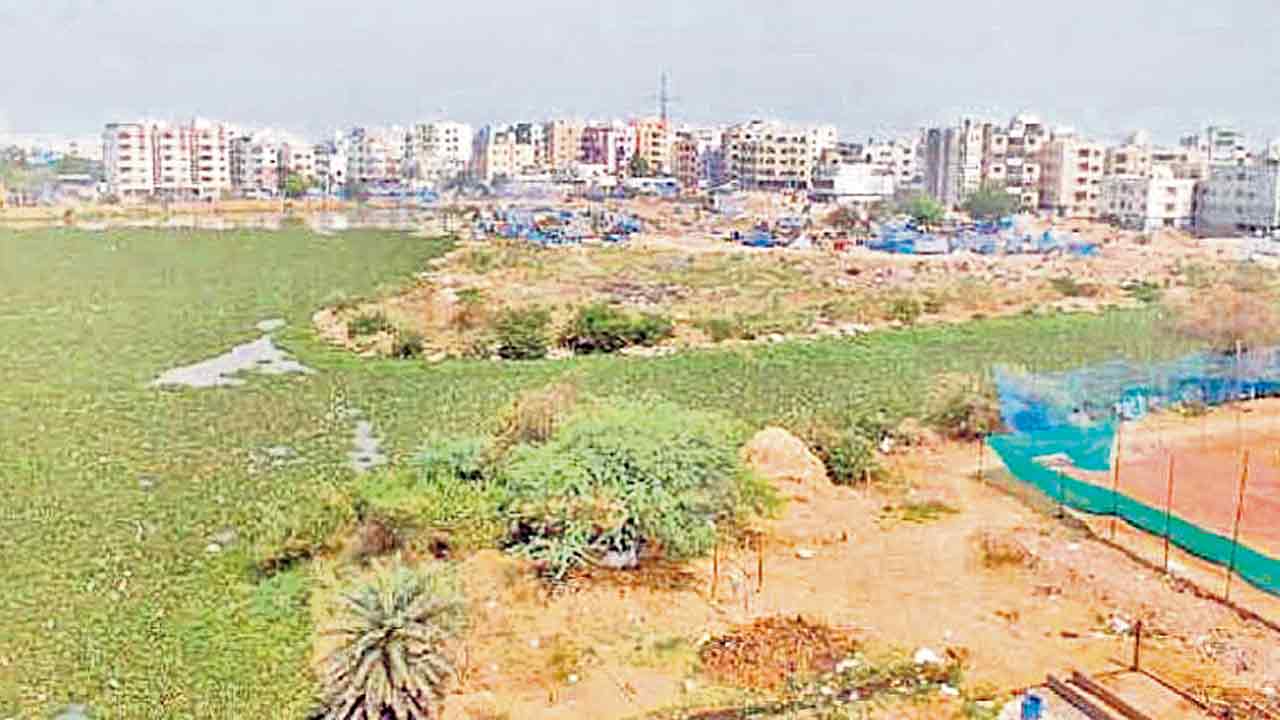రాయదుర్గంలో ఎకరం రూ. 204 కోట్లు
