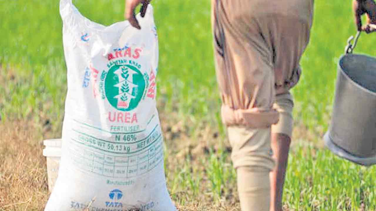 Urea No Stock | యూరియా లొల్లి షురూ.. షాపుల వద్ద రైతుల బారులు.. నోస్టాక్‌ బోర్డులు