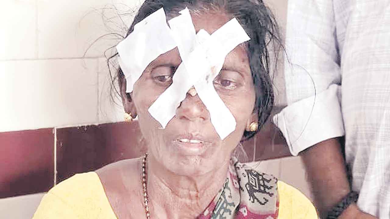 పిచ్చి కుక్క స్వైర విహారం