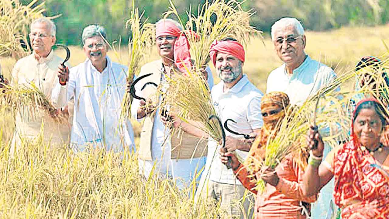 మాటలు రైతులకు.. మూటలు ఢిల్లీకి