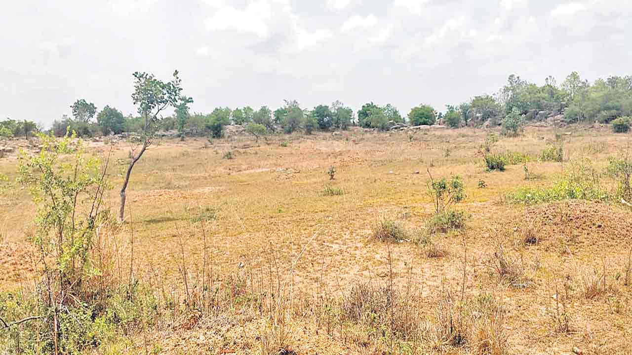 Ravalkole Lands | కష్టార్జితాన్ని రావల్‌కోల్‌ ఇనామ్‌ భూముల్లో పోశామా? ఆందోళనలో కొనుగోలుదారులు