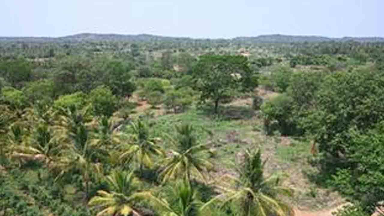 ఏఐ టౌన్‌షిప్‌ కోసం.. 2 లక్షల చెట్ల నరికివేత?