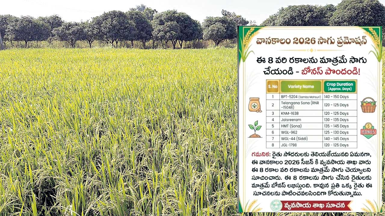 మేం చెప్పిన సన్నాలే వేయండి