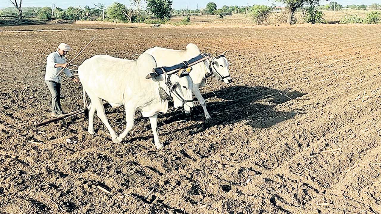 రైతన్న సాగుబాట