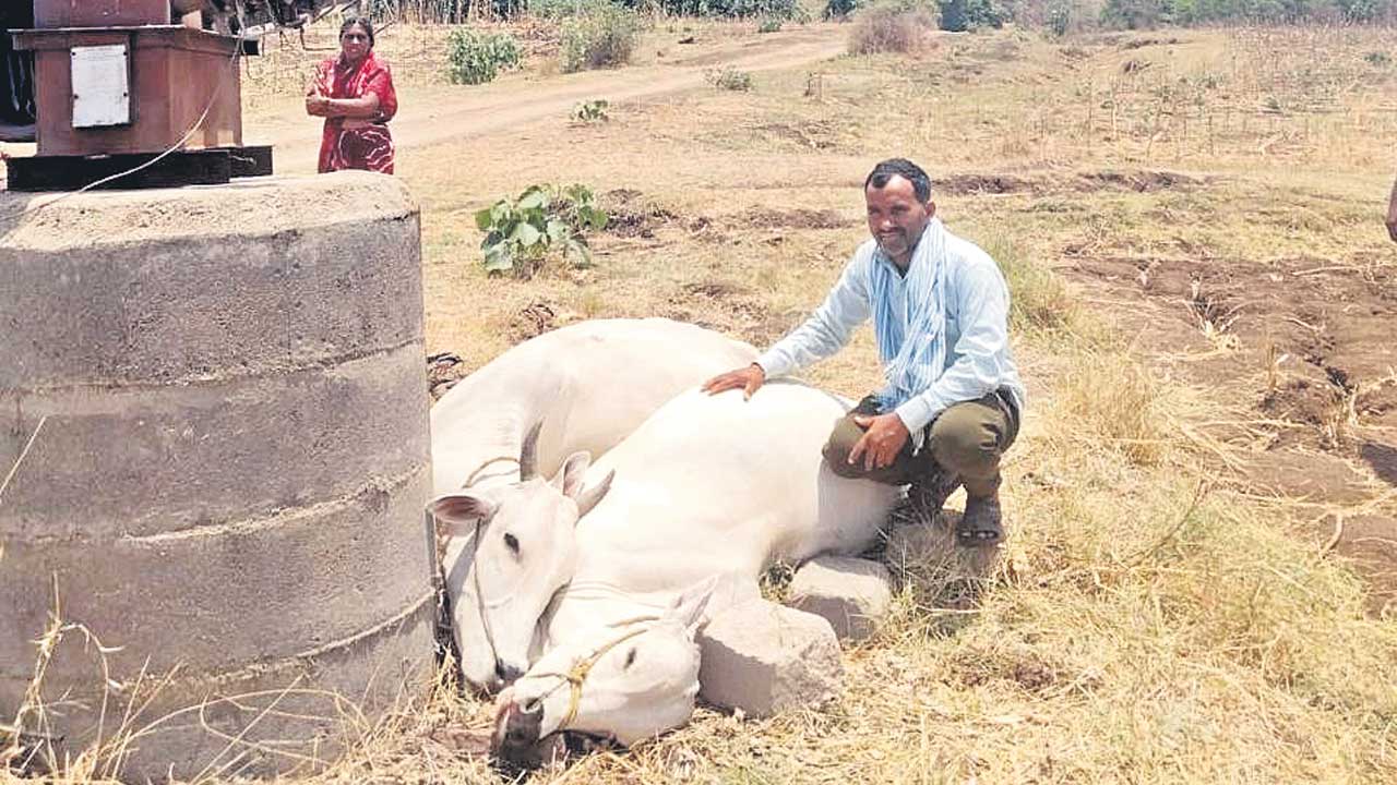 మా చావుకు బాధ్యులెవరు?
