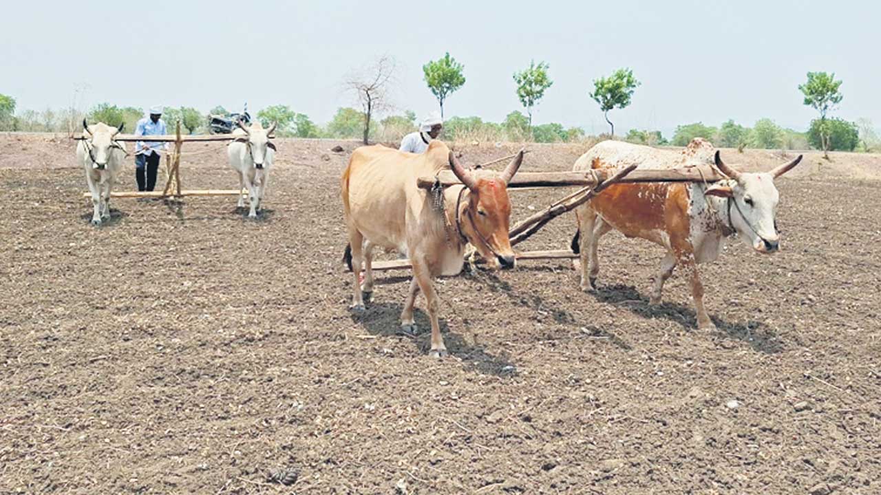 Adilabad1