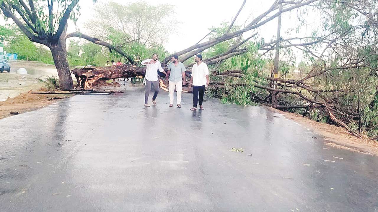 గాలివాన బీభత్సం