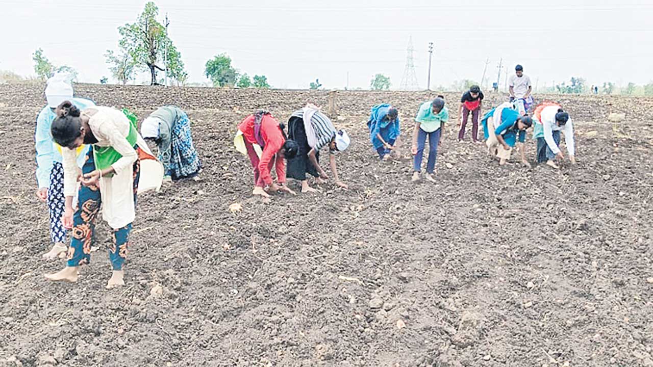 సాగుపై ఆశలు