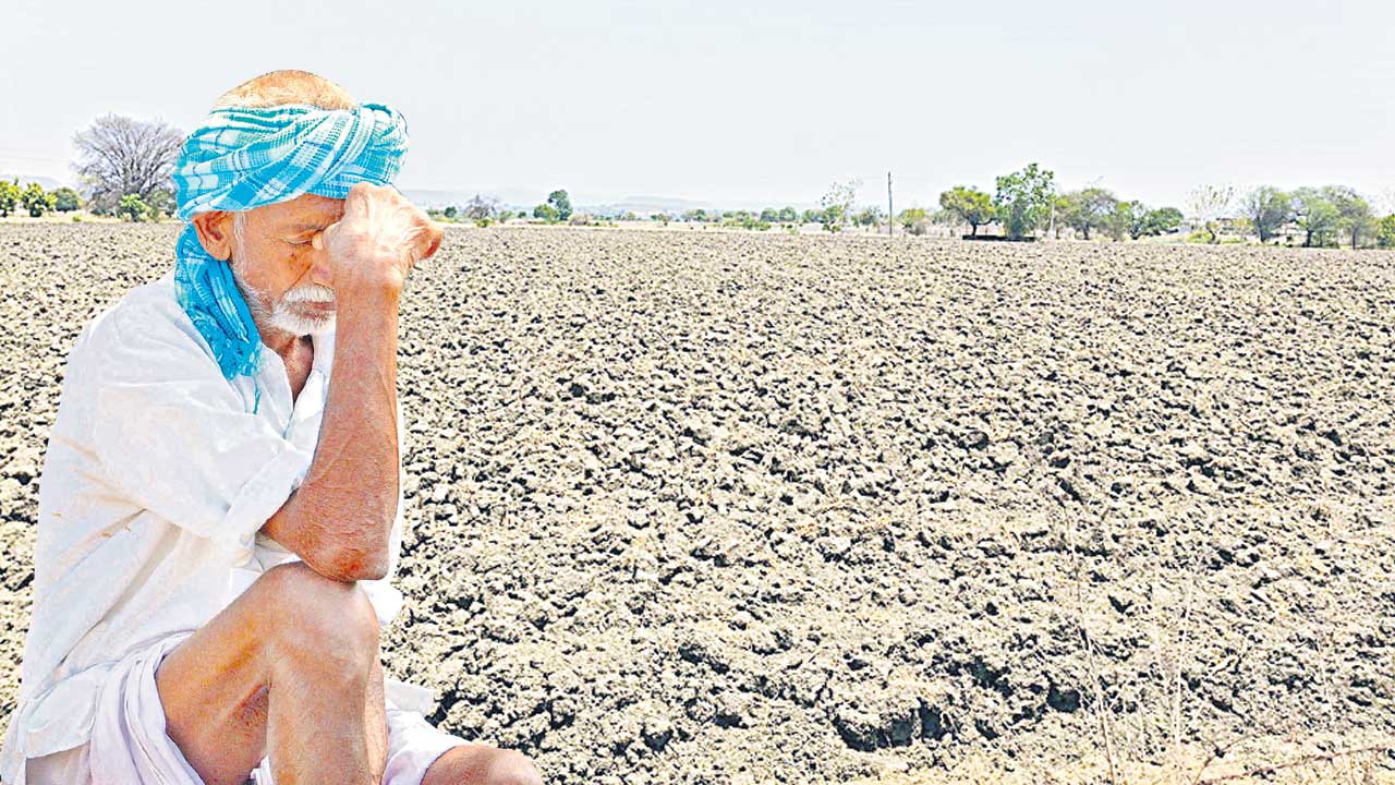 పత్తి సాగెట్ల?