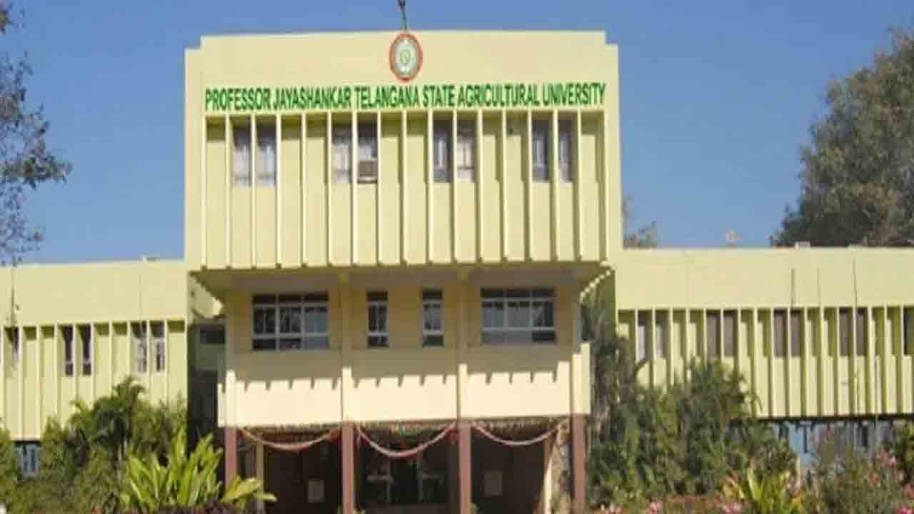 ముంచుకొస్తున్న పర్యావరణ ముప్పు