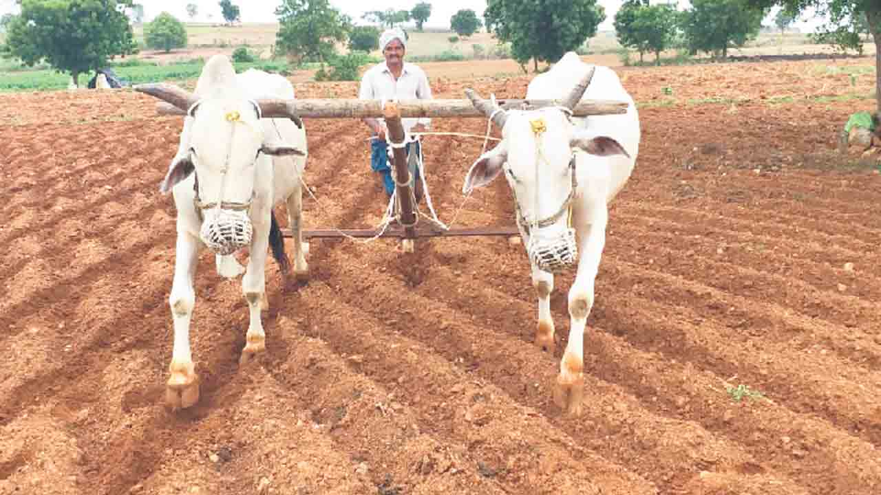సాగుకు తొందరొద్దు..!