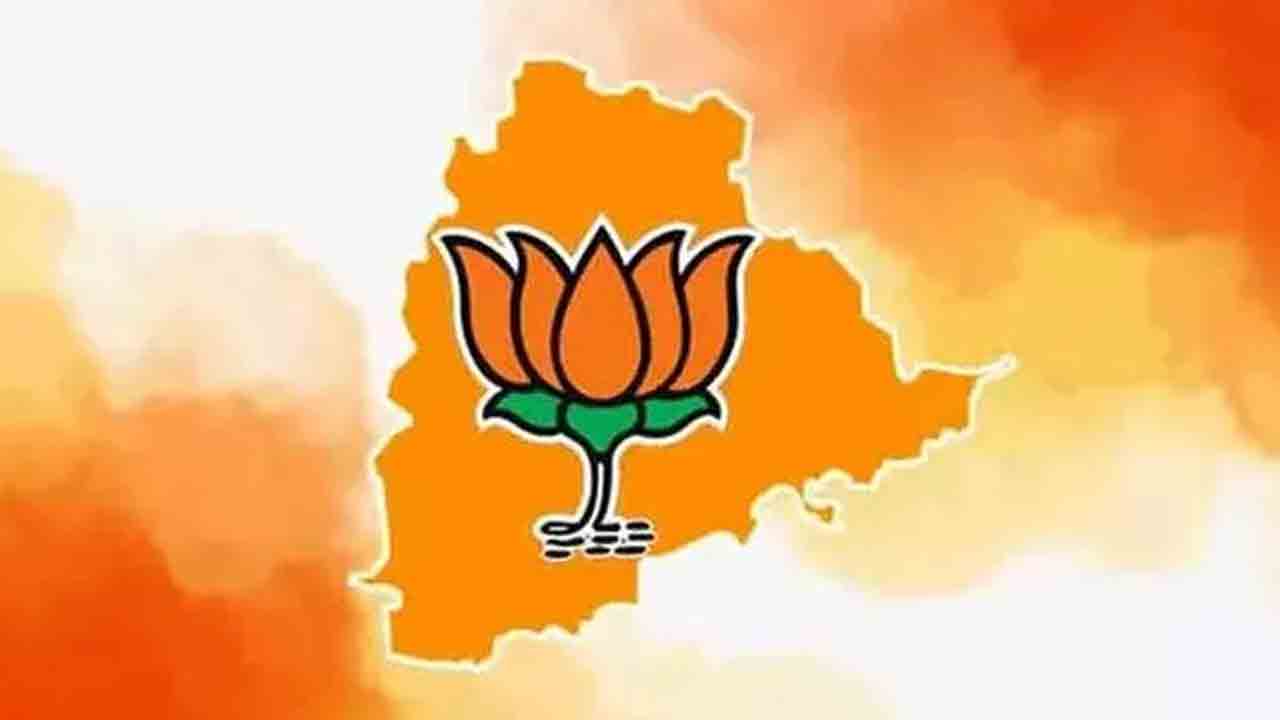 బీజేపీ చీలిక రాజకీయం