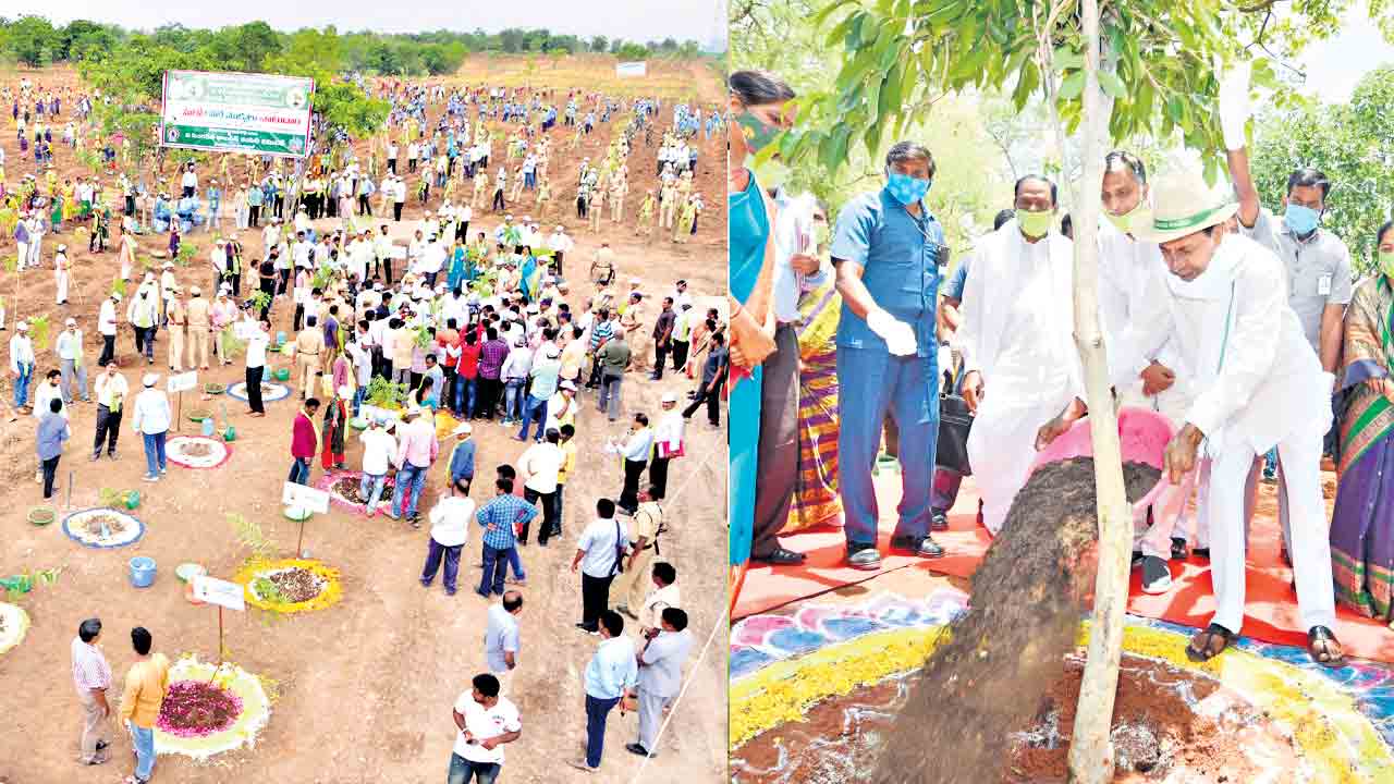 నేల, గాలి, నీటి సంరక్షకుడు కేసీఆర్‌