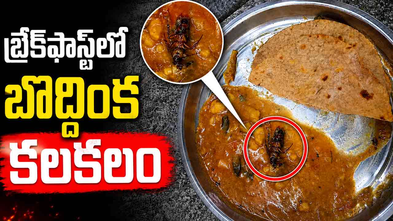 Basar IIIT | బ్రేక్‌ఫాస్ట్‌లో బొద్దింక.. బాసర ట్రిపుల్ ఐటీ మెస్‌లో కలకలం