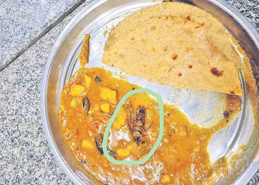 ఆలు కుర్మాలో బొద్దింక.. నిర్మల్‌ జిల్లా బాసర ట్రిపుల్‌ ఐటీ మెస్‌లో ఘటన
