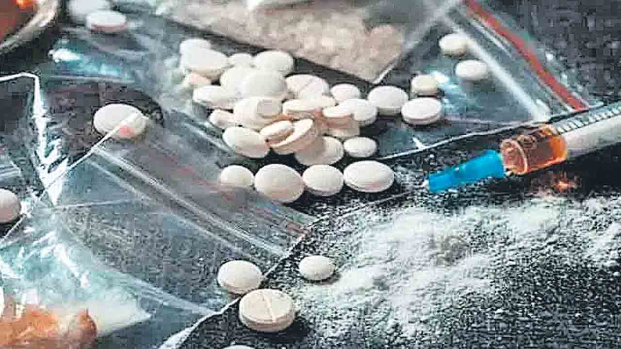డ్రగ్స్‌ డెన్‌ @మామిడి తోట