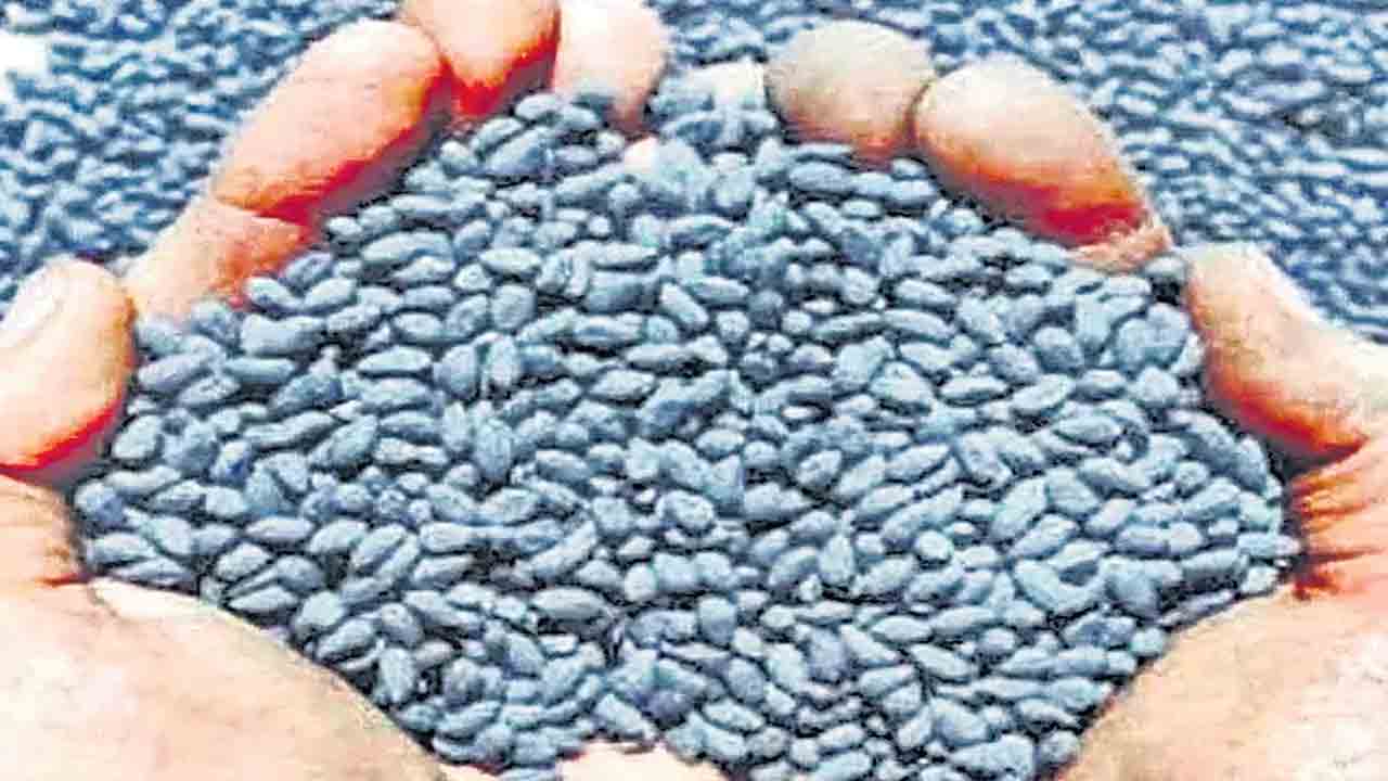 కల్తీకి గేట్లెత్తేశారు!
