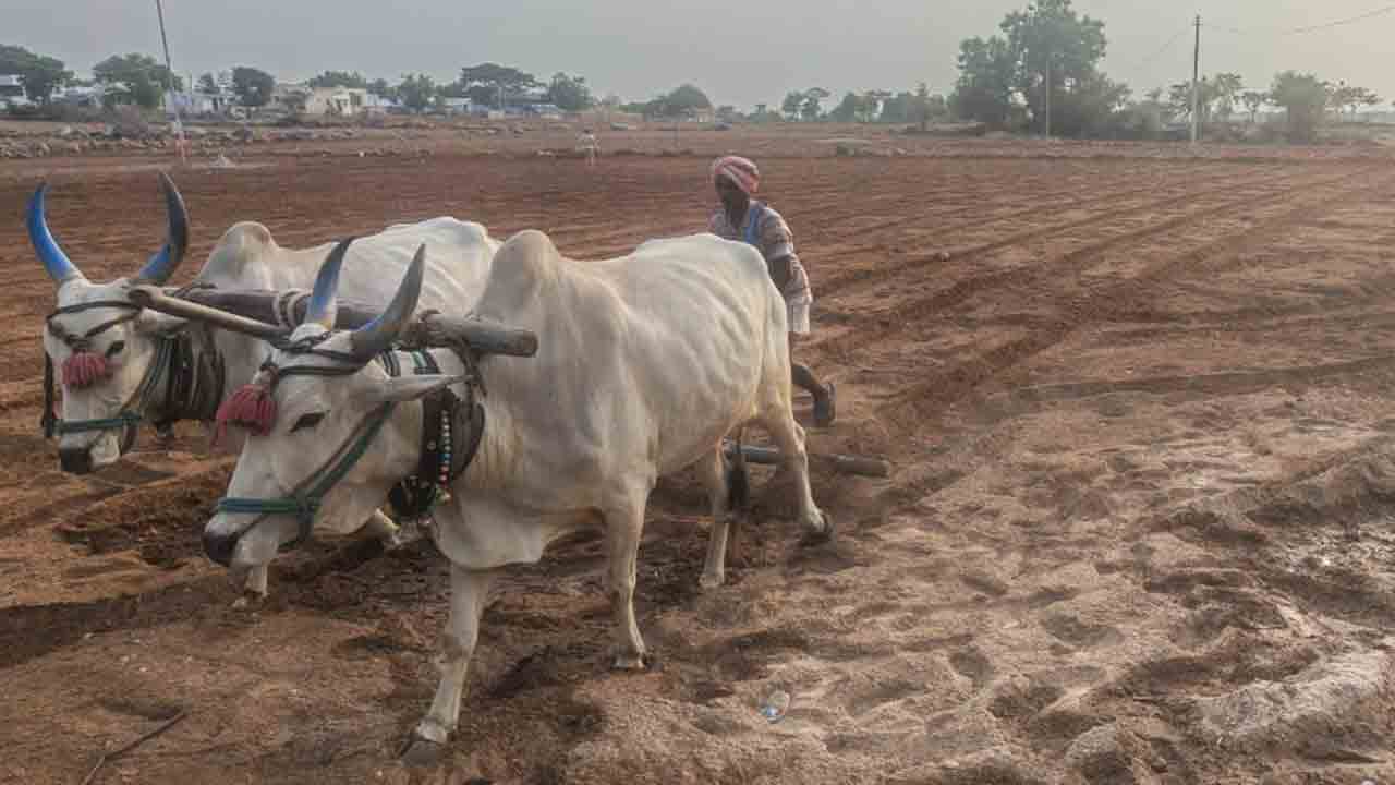 రైతుకు భరోసా ఏదీ?