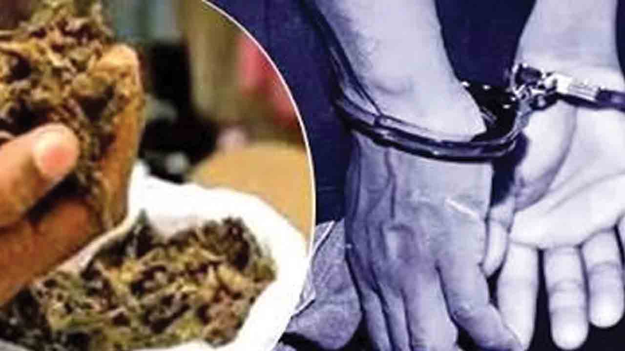 గంజాయి ముఠా అరెస్ట్‌