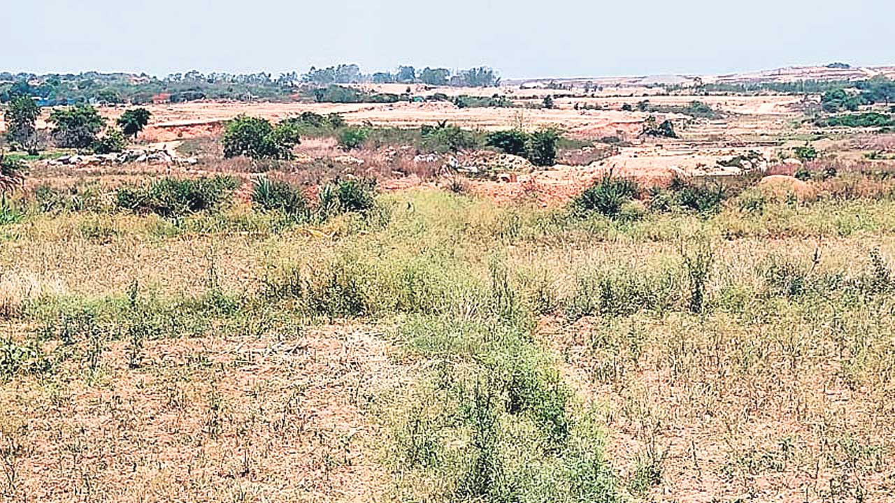 Hyd5