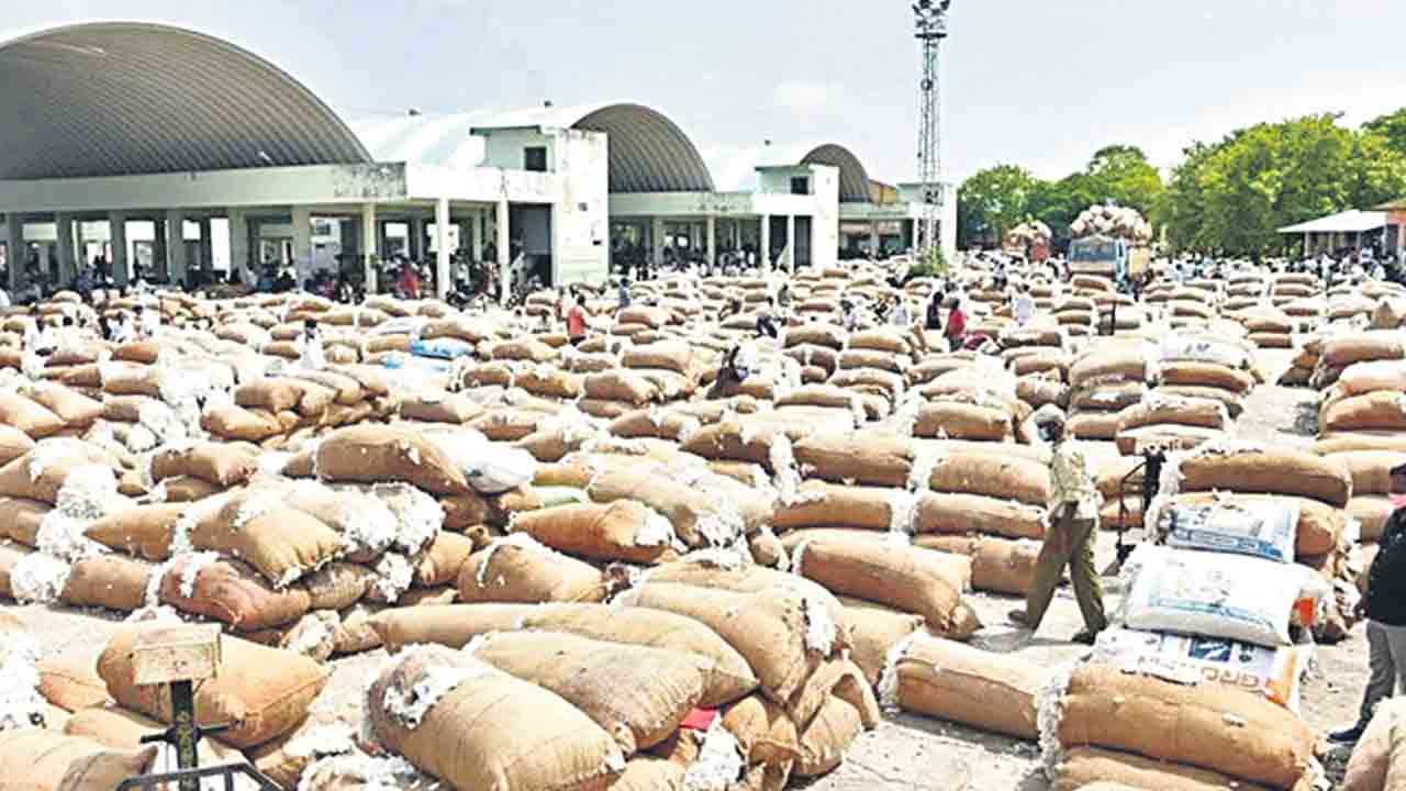 సీఐడీకి పత్తి స్కాం?.. పత్తి కొనుగోళ్లలో అవకతవకలపై మార్కెటింగ్‌ శాఖ నివేదిక