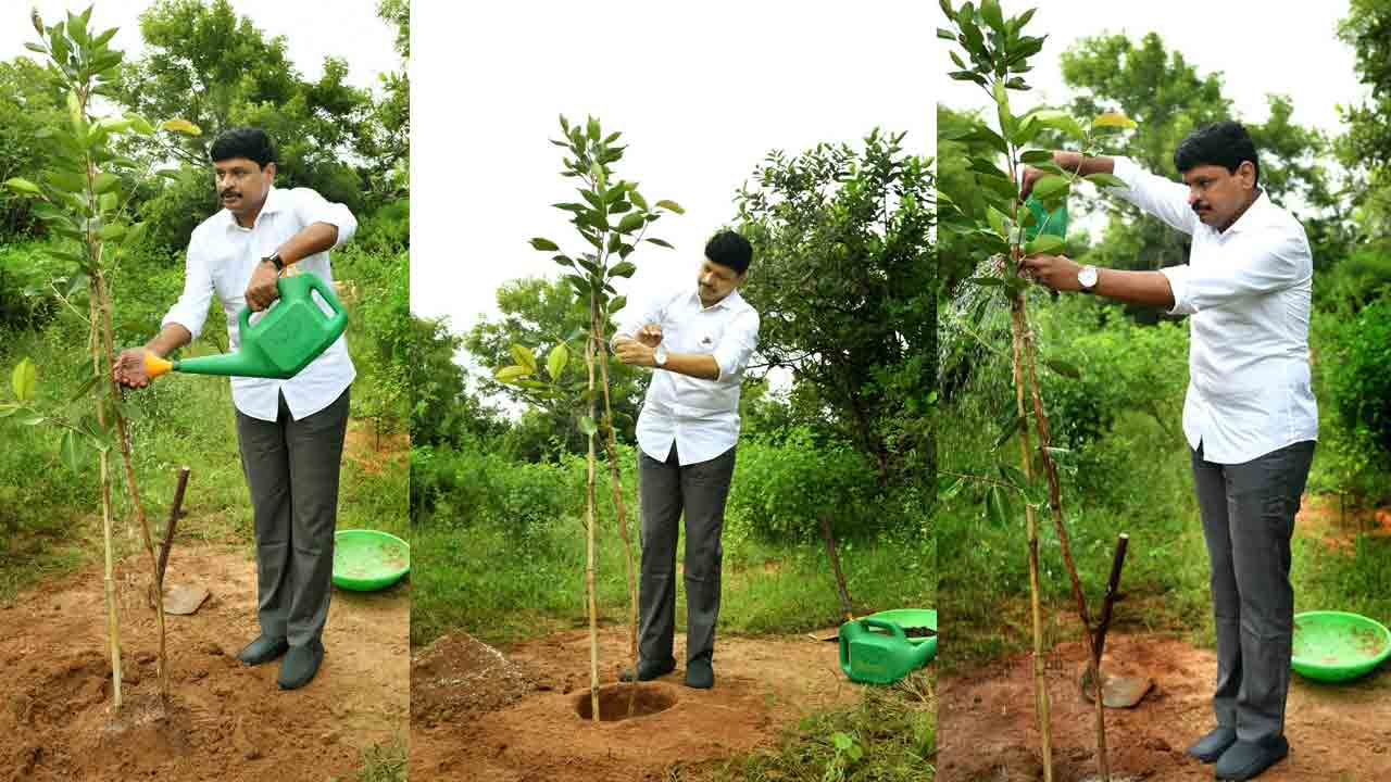 J Santosh kumar | తెలంగాణ క్రికెట్‌లో కొత్త అధ్యాయం.. ప్రతి డాట్ బాల్, ఫోర్, సిక్స్‌కు మొక్కలు నాటే ప్రతిపాదన