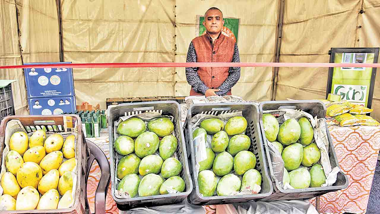 ఢిల్లీ తెలంగాణ భవన్‌లో జగిత్యాల మామిడి