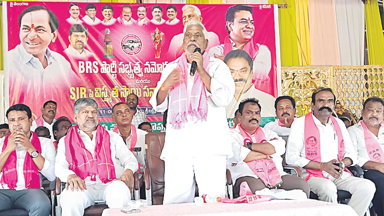 గులాబీజెండా ఎగరేద్దాం