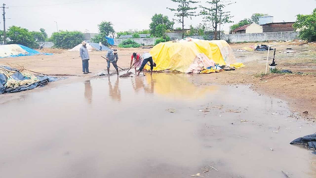 వడ్లు వర్షార్పణం