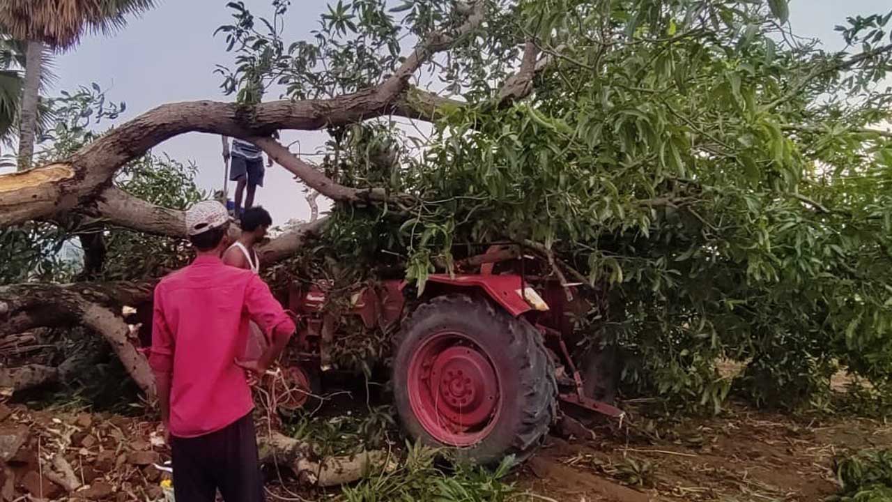 గాలివాన బీభత్సం