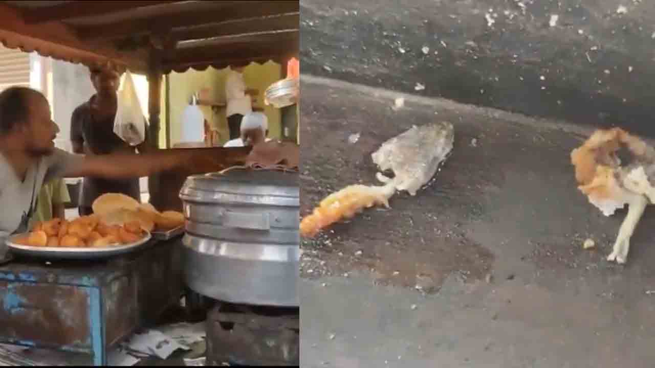 Lizard | టిఫిన్ చేస్తుంటే వడలో ప్రత్యక్షమైన బల్లి.. వీడియో