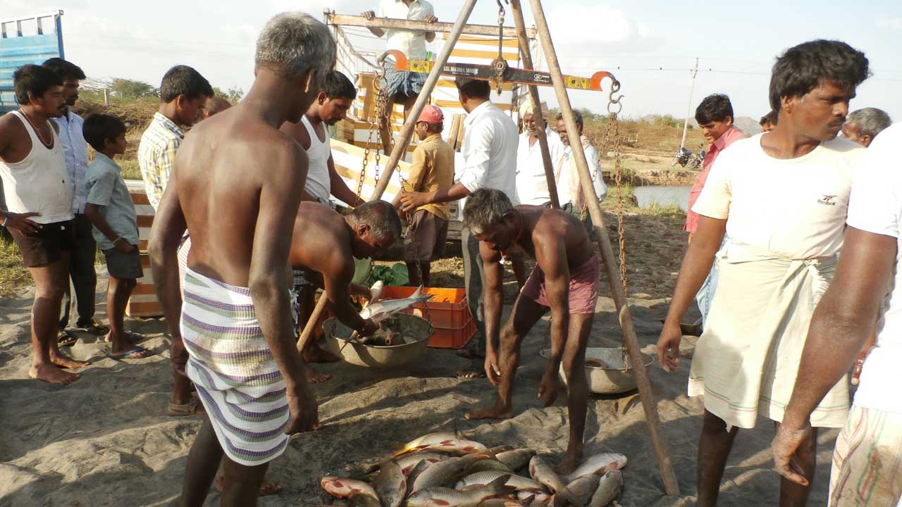 Mahabubnagar4
