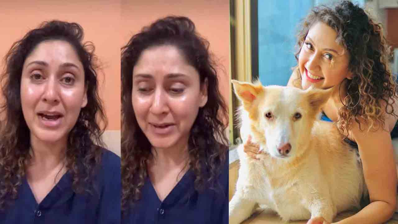 Manjari Fadnis | మా సొసైటీ కుక్కను ఇనుప రాడ్‌తో కొట్టి చంపేశారు.. కన్నీరు పెట్టుకున్న ‘శుభప్రదం’ హీరోయిన్ మంజరి!